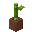 potted_bamboo