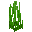 Tall Seagrass
